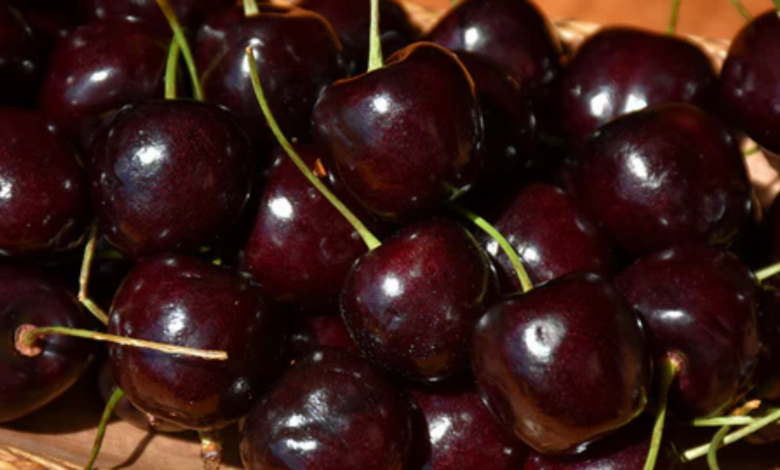 Coed Cherry: The Sweet Science and Style of Campus Culture coed cherry