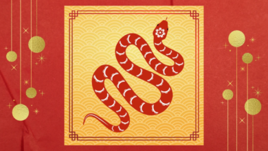 year of the snake
