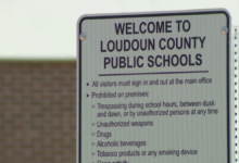 lcps go